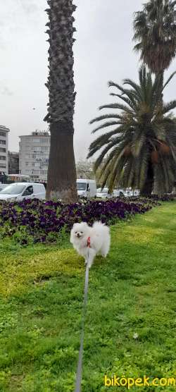 1 Yasinda Erkek 3