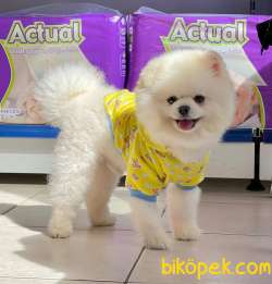 Birileri BOO Mu Istiyorum Dedi? 4
