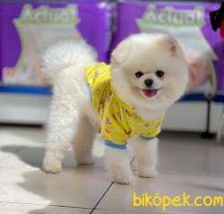Birileri BOO Mu Istiyorum Dedi? 1