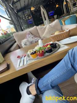 3 AYLIK POMERANİAN BOO 5