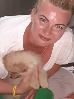 Gülen Suratlı A Kalite Pomeranian Yavrularımız 2