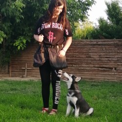 Husky Yavruları Aşılı Karneli 2