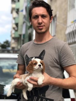 Satılık Cavalier King Charles Yavruları 2