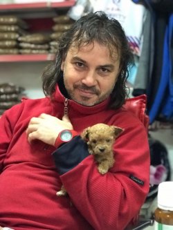 Poodle Yavrusu 2
