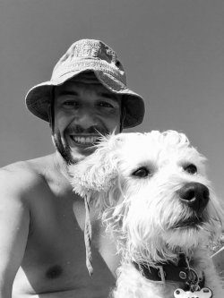 1 Yaşında Maltese Terrier 5
