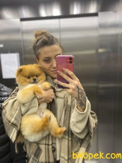 Orjinal Sertifikalı Pomeranian Boo Yetişkinlerimizden 1