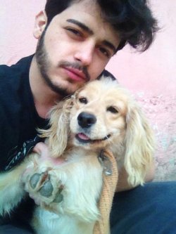 2 Yaşında Sağlıklı Cocker Dişi 2