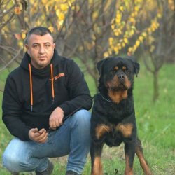 A Kali̇te Rottwei̇ler Yavruları 1