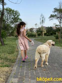 Adoption Due To Immigration 3