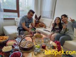 Alman Çoban Köpeği Ücretsiz 2