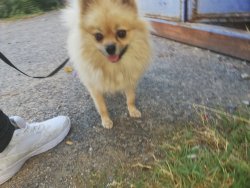 Rizyy 2