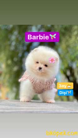 Baby Prens  Ve Prensesler 2