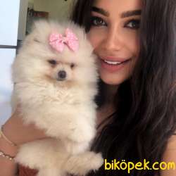 Baby Teddy Bear’larımızla Herkese Helloo 1