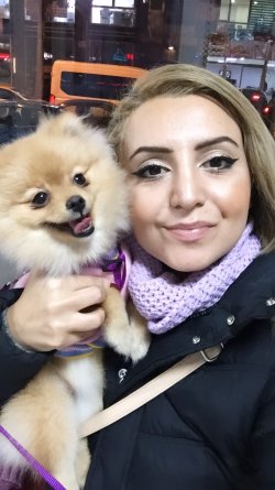ACİL POMERANİAN BOO DİŞİ YAVRULAR 1