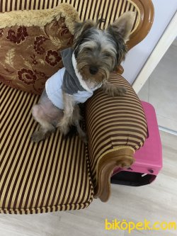 Çoookk Akıllıdır Benim Oğlum 5