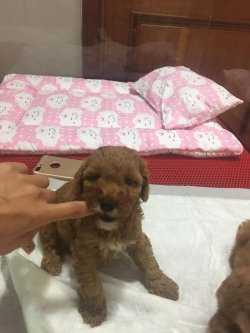 Daha Ucuzu Yok !! 2