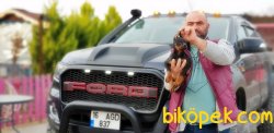 DOBERMAN YAVRULAR 4