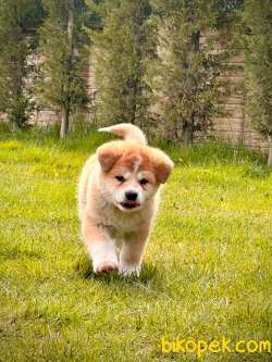 EŞSİZ BİR DENEYİM İÇİN BİZİ ARAMADAN KARAR VERMEYN 4