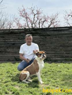 Gücün Simgesi Amerikan Bulduk Yavrularımız 5