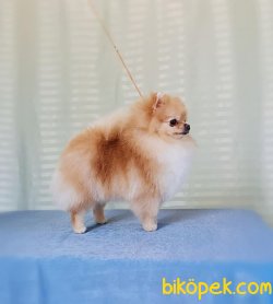 Minik Kızımız 1