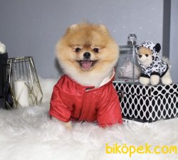 Minik Kızımız Rindy 3