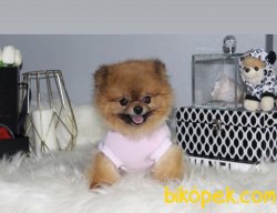 Minik Kızımız Rindy 2