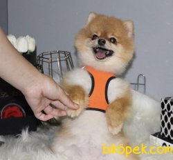 Minik Kızımız Rindy 1
