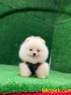 Minik Prensesim Bella 2