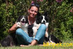Mükemmel Kalitede Border Collie Yavrularımız 2