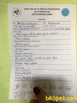 Secereli Genç Türkiye Şampiyonu Anne OluYOR 2