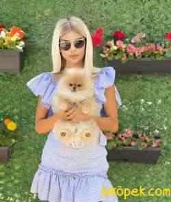 TEDDY BEAR 1