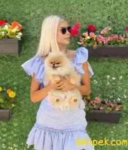 TEDDY BEAR 2