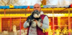 ÜRETİCİSİNDEN MİNYATÜR SCHNAUZER YAVRULAR 1