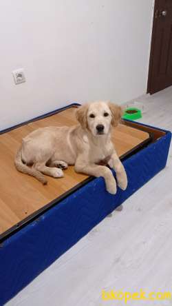 Yavru Kızımıza Yuva 2