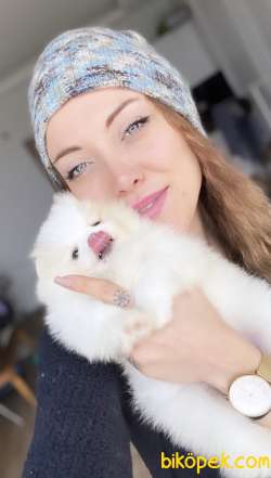 Ailenizin Vazgeçilmez Üyesi Pomeranian Yavrupatilerimiz 1
