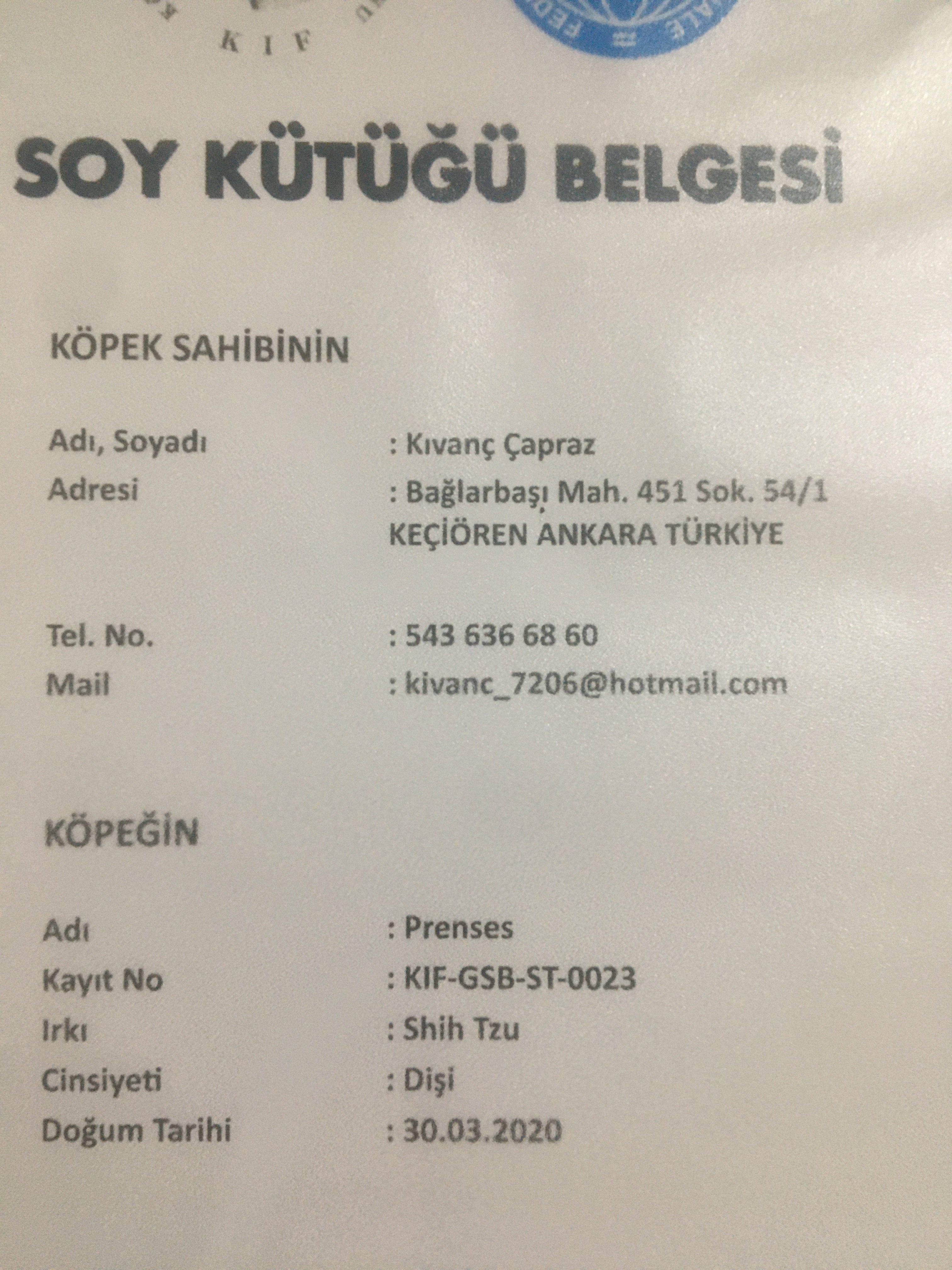 Ücretsiz İlan Ver - bikopek.com