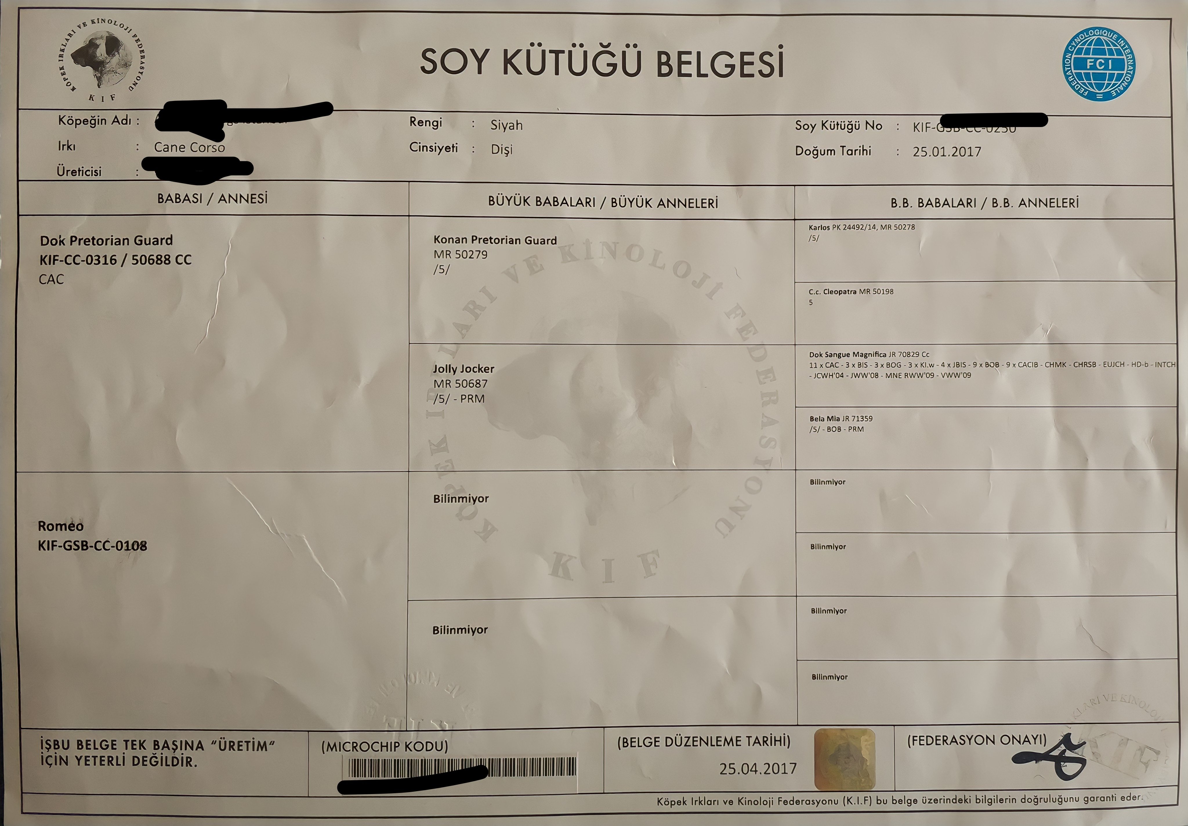 Ücretsiz İlan Ver - bikopek.com