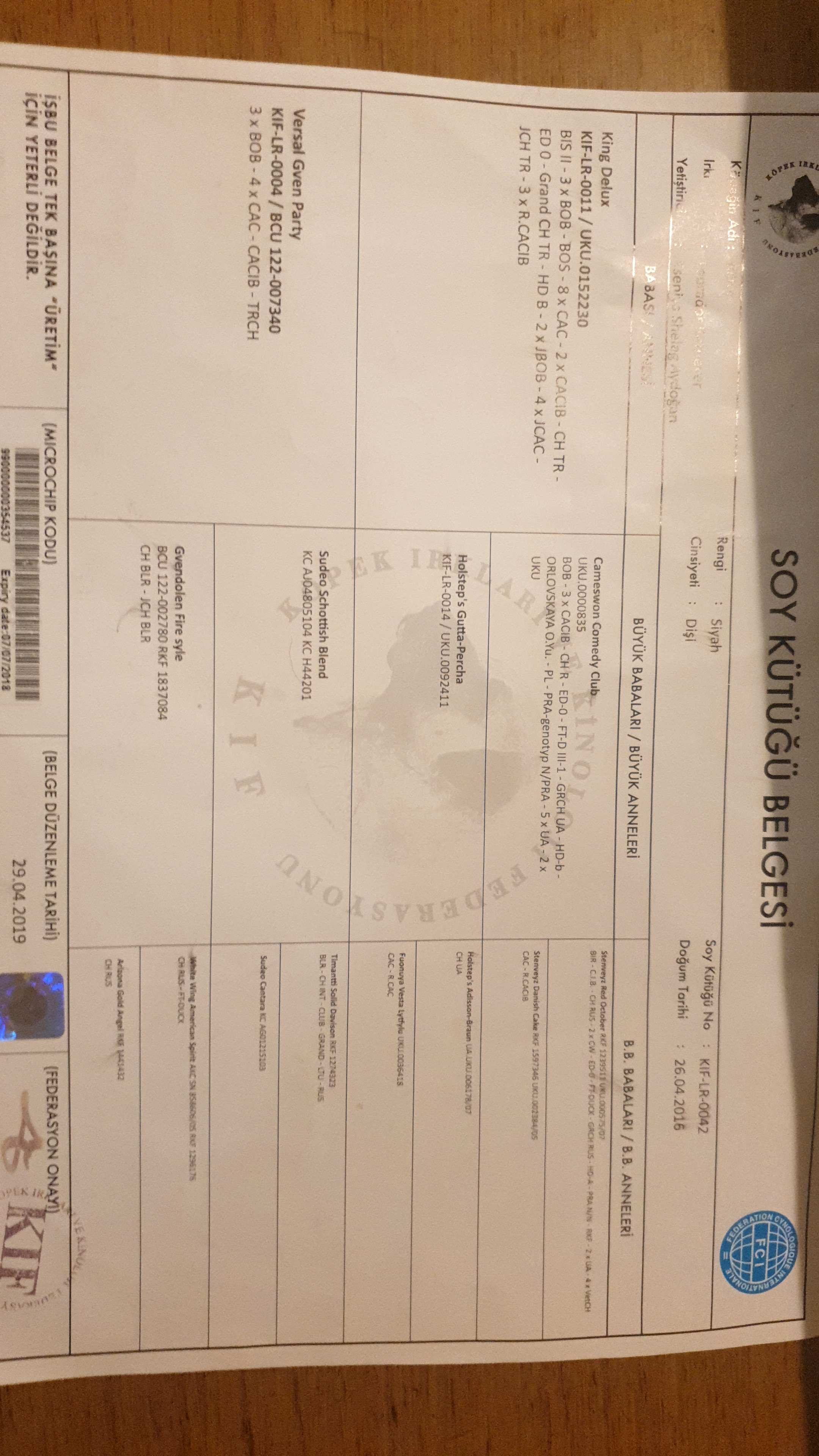 Ücretsiz İlan Ver - bikopek.com
