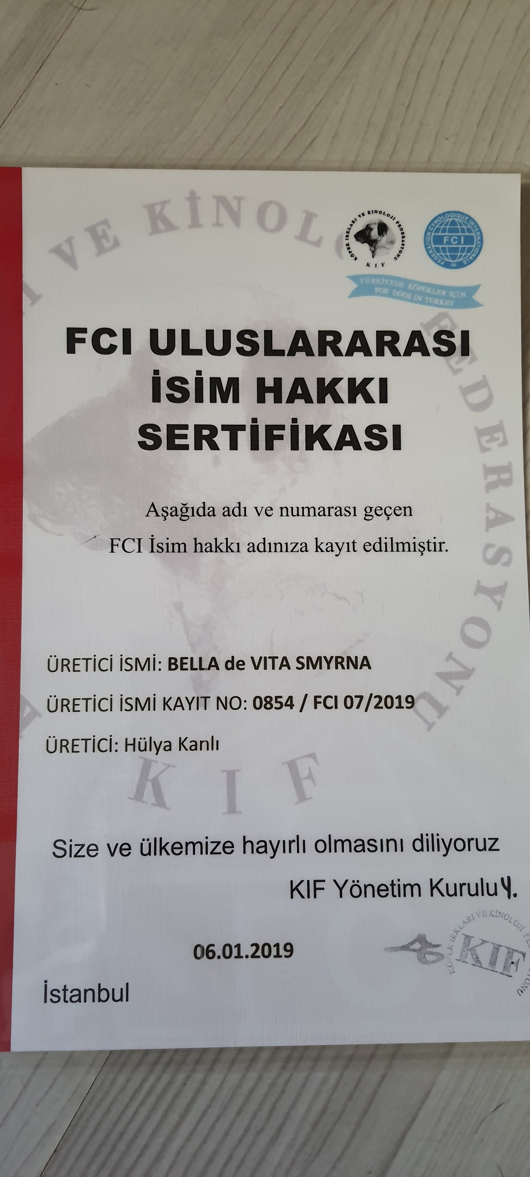 Ücretsiz İlan Ver - bikopek.com