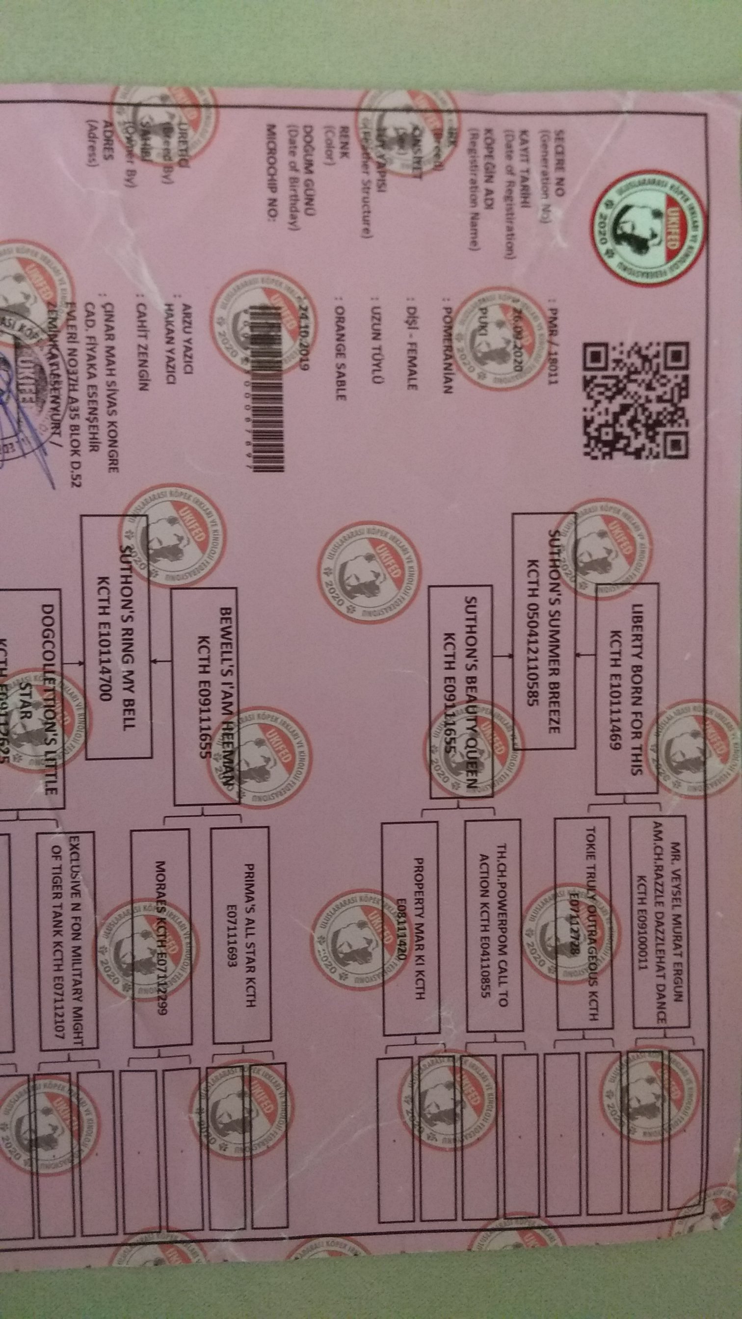 Ücretsiz İlan Ver - bikopek.com