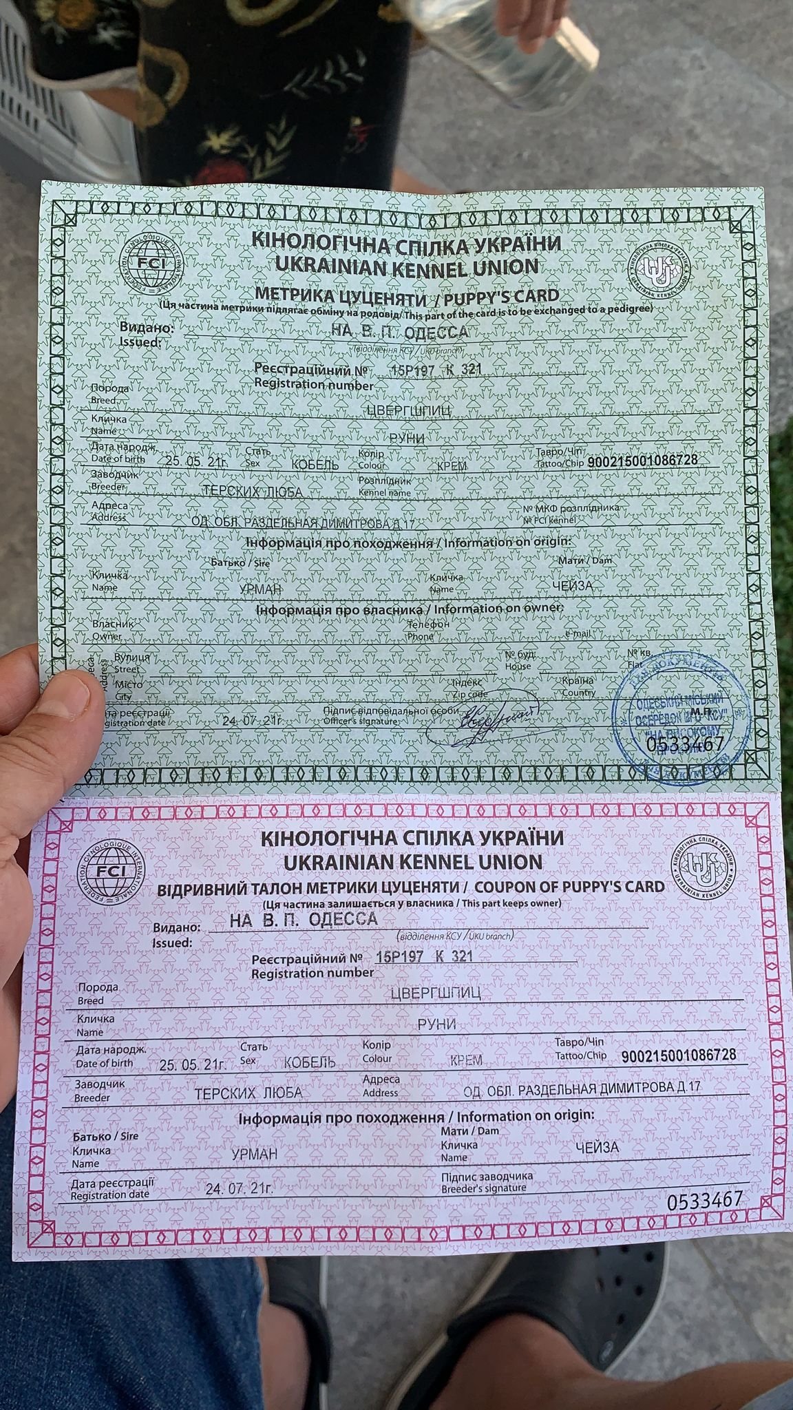 Ücretsiz İlan Ver - bikopek.com