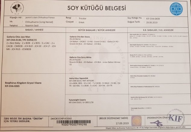 Ücretsiz İlan Ver - bikopek.com
