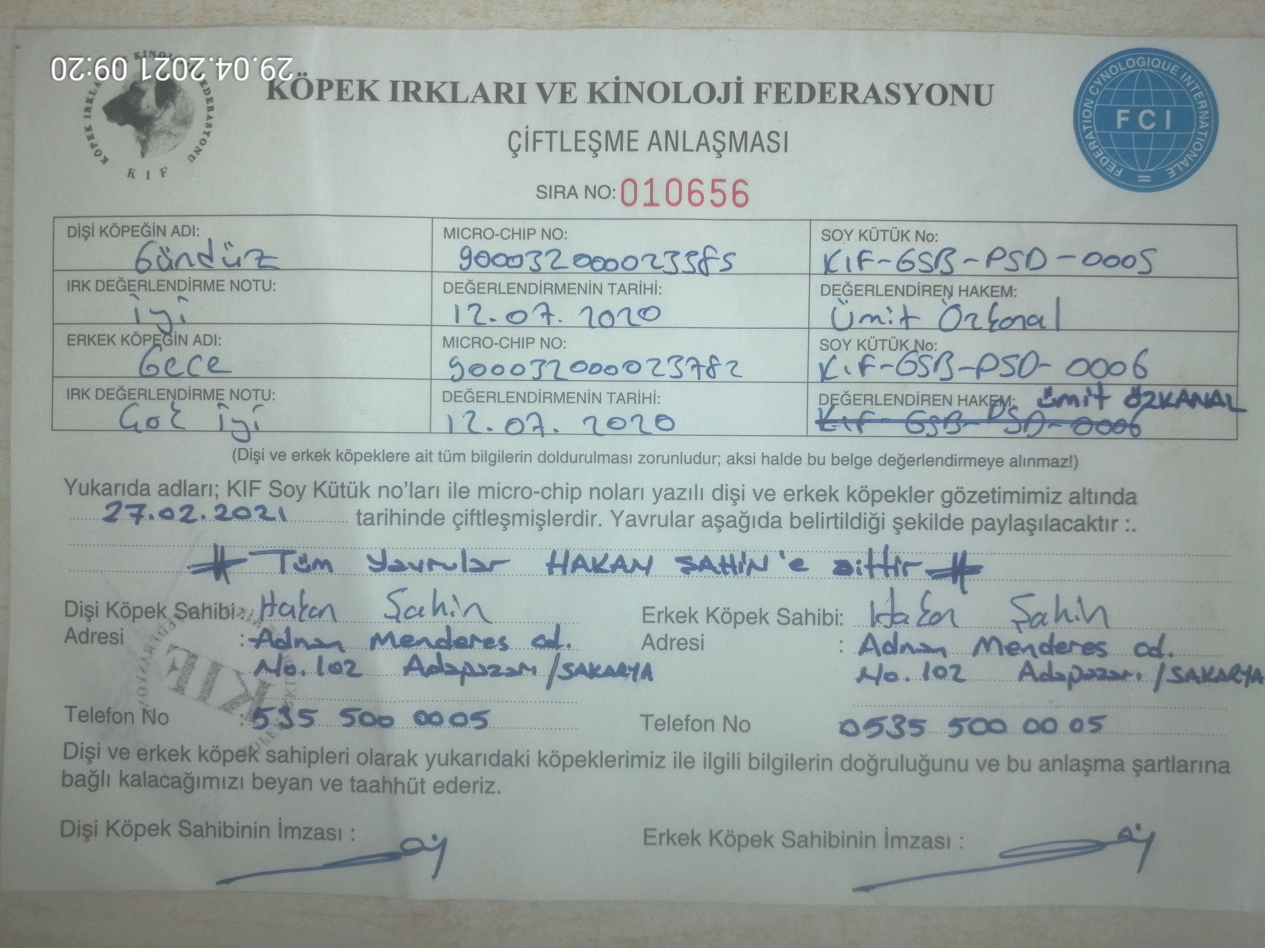 Ücretsiz İlan Ver - bikopek.com