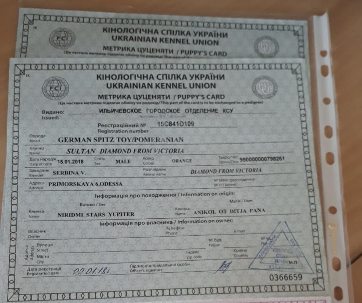 Ücretsiz İlan Ver - bikopek.com