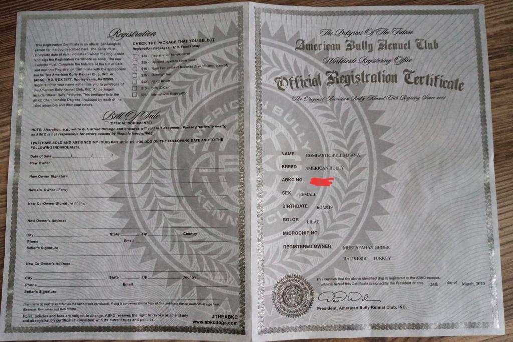 Ücretsiz İlan Ver - bikopek.com