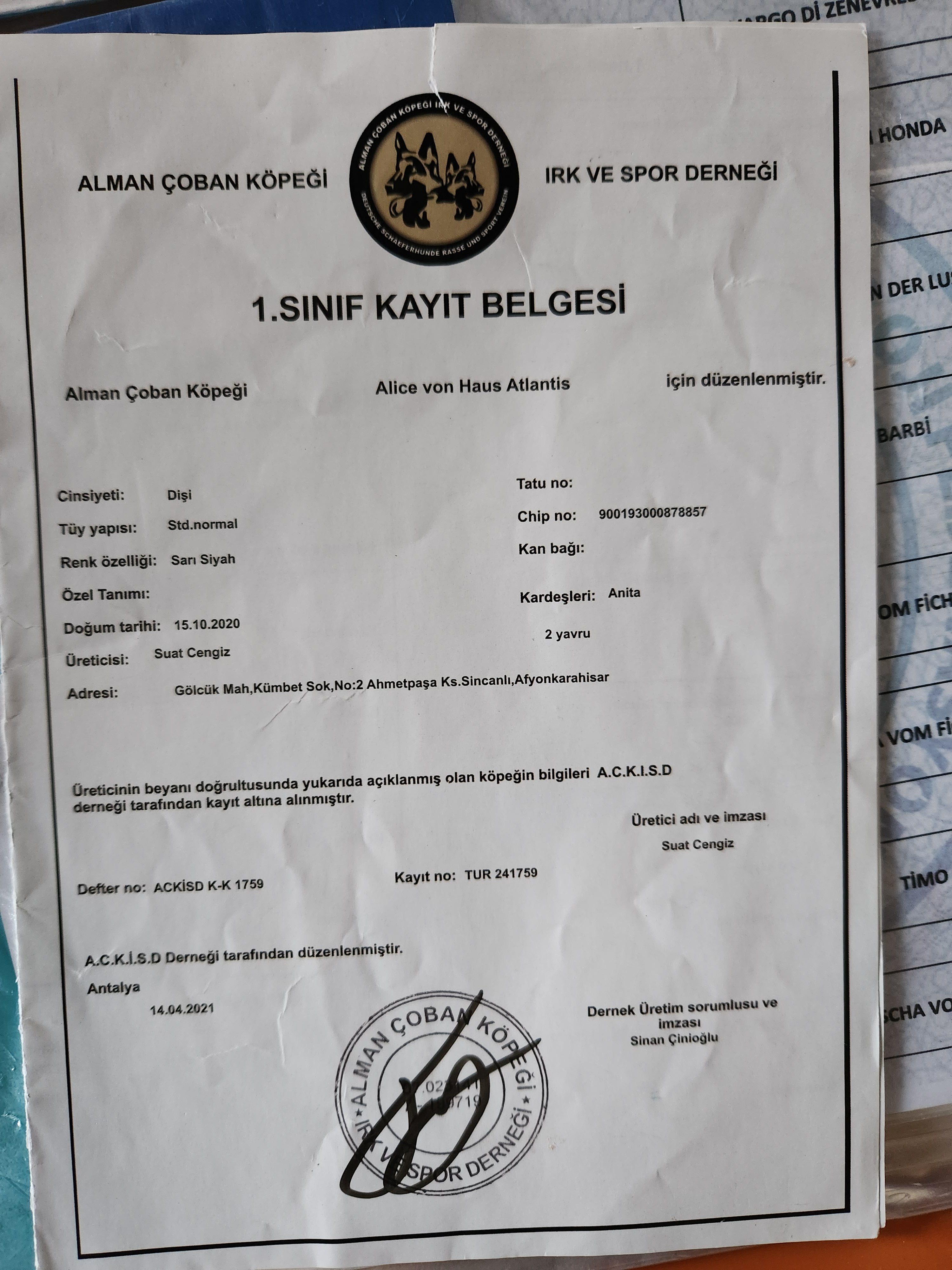 Ücretsiz İlan Ver - bikopek.com