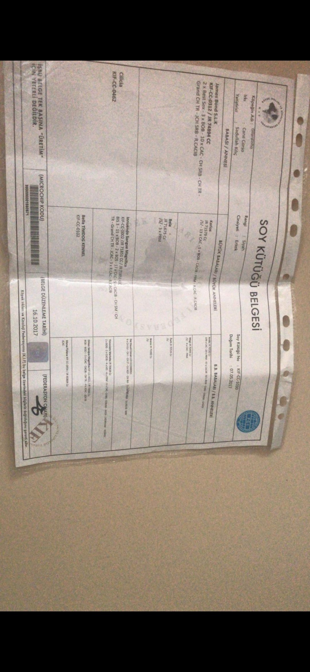 Ücretsiz İlan Ver - bikopek.com