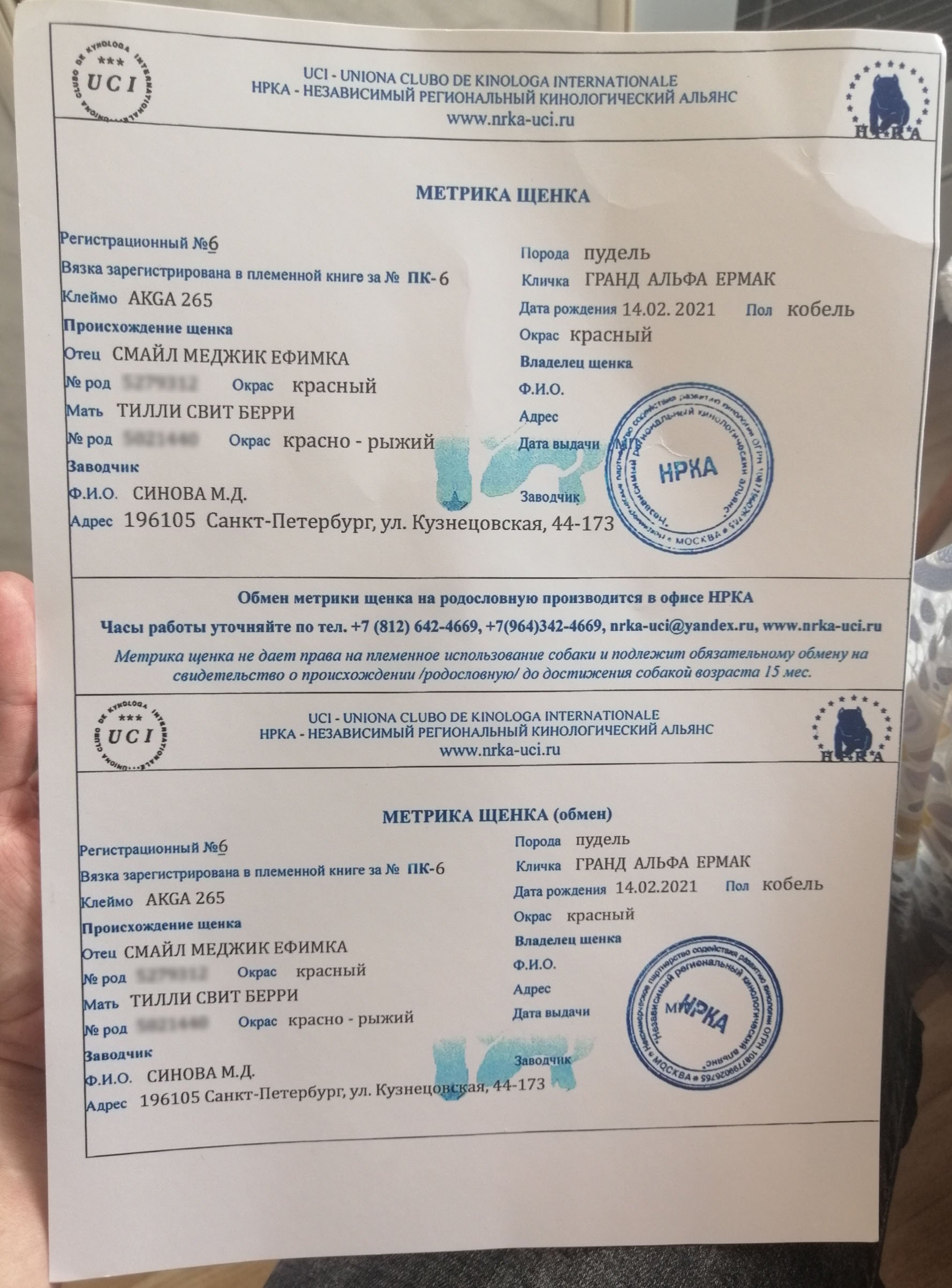Ücretsiz İlan Ver - bikopek.com