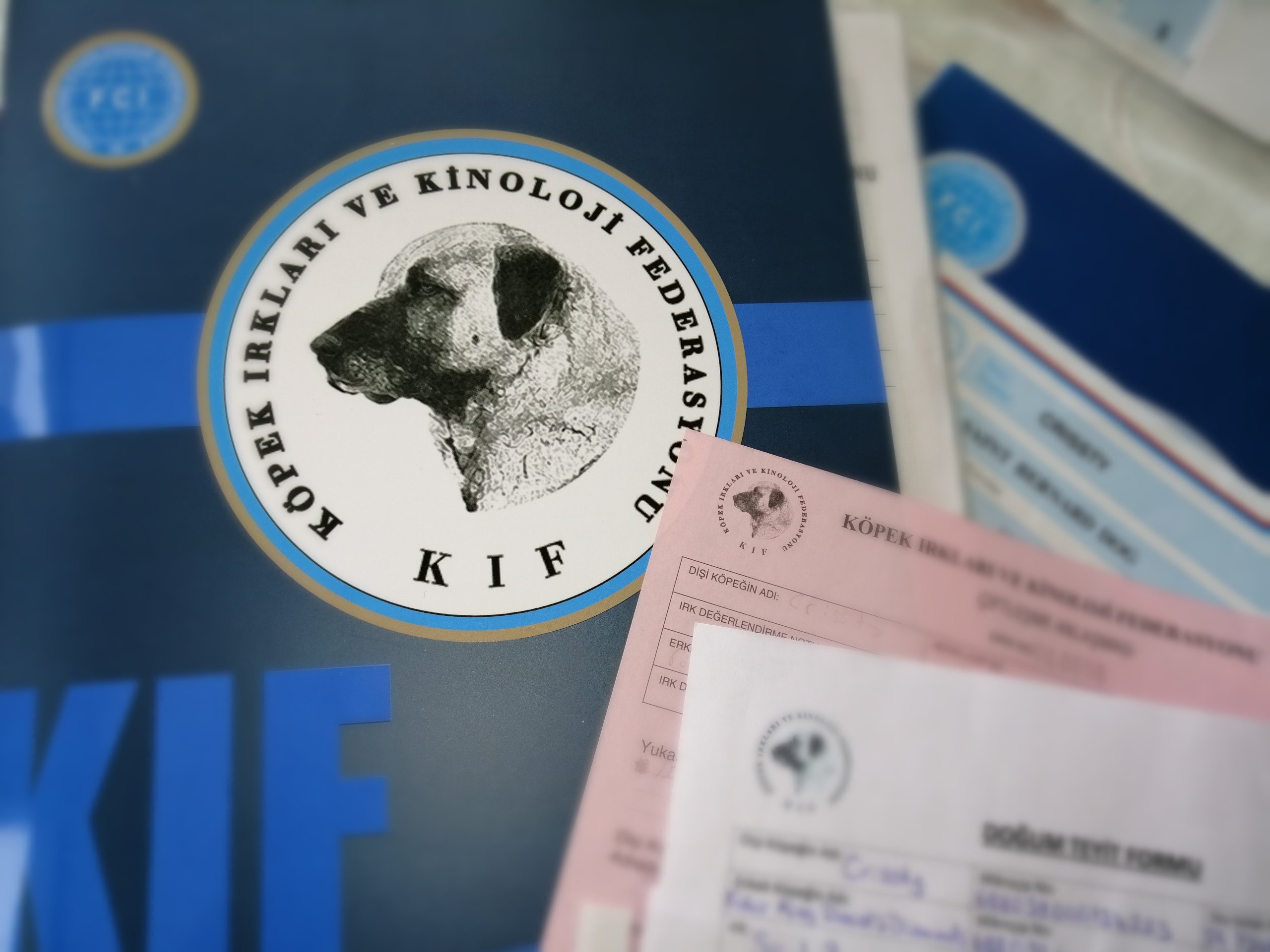 Ücretsiz İlan Ver - bikopek.com