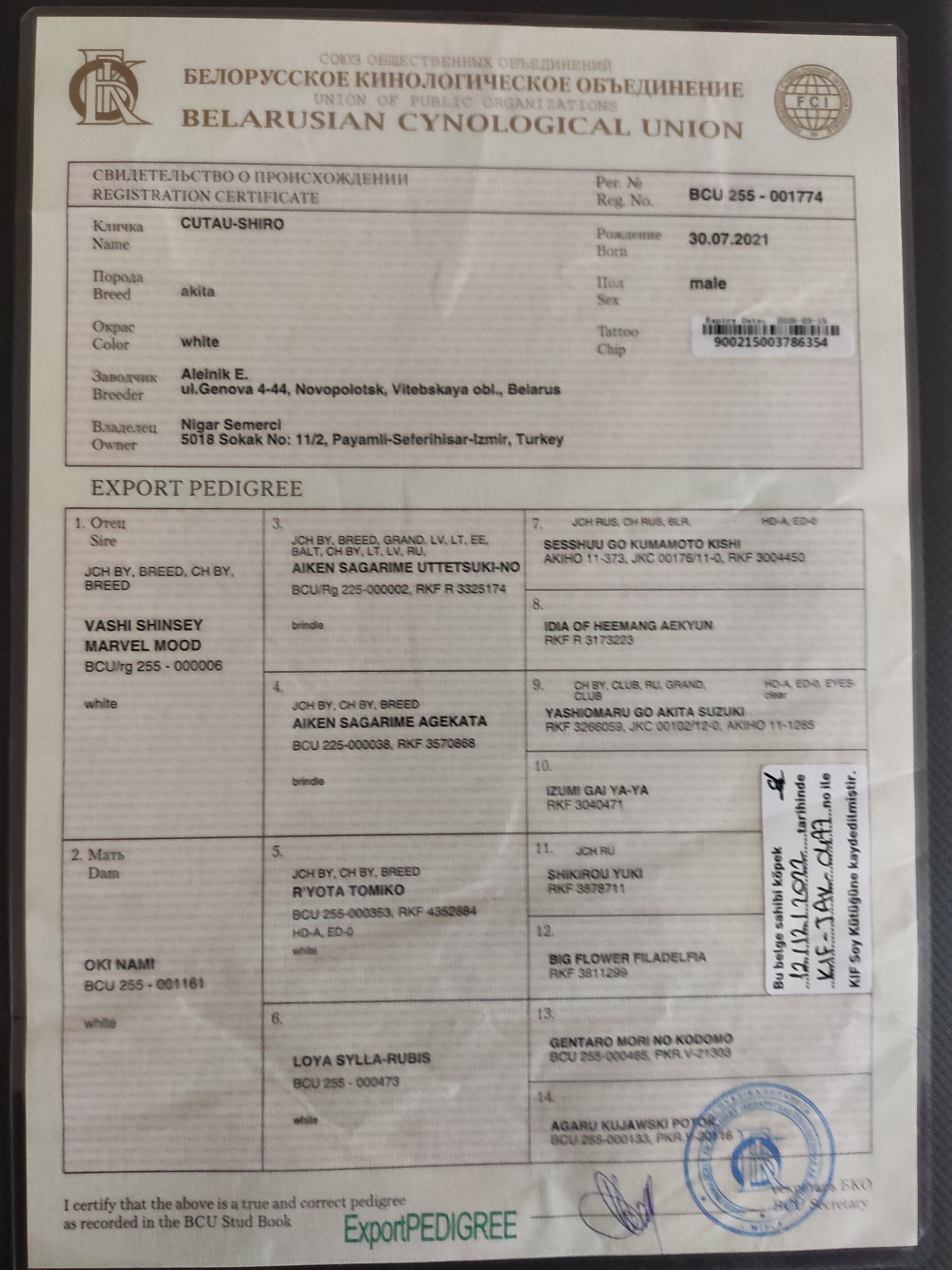 Ücretsiz İlan Ver - bikopek.com